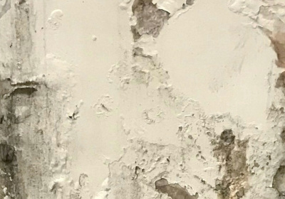 Wasserschaden mit Schimmelbildung